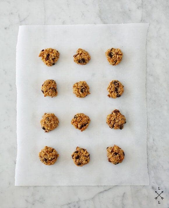 Carrot & Oat Cranberry Cookies