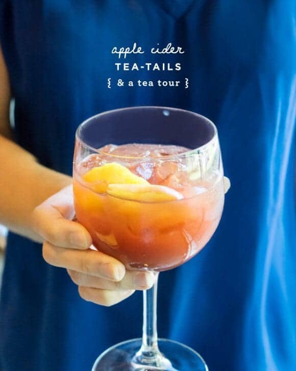 Apple Zinger Tea-Tails
